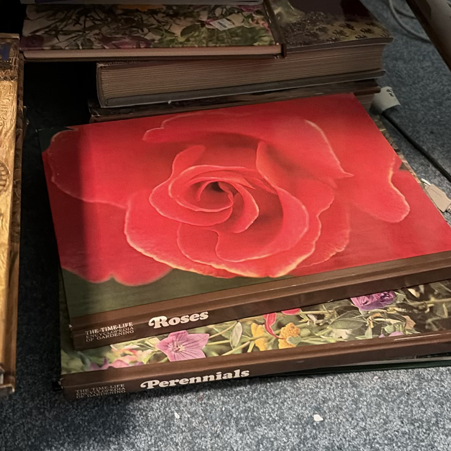 Assorted Hardcover and Paperback Books - image 8 of 10
