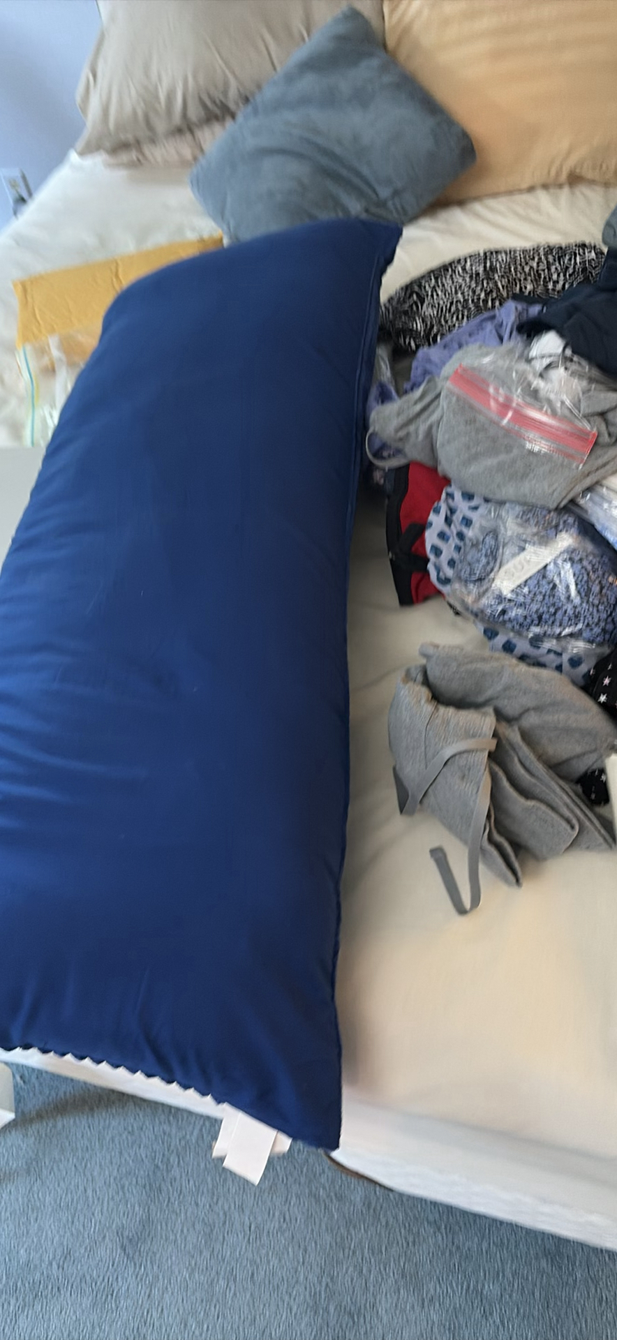 Assorted Clothing Items, Body Pillow, and HomeTrends Garment Bag - image 2 of 6