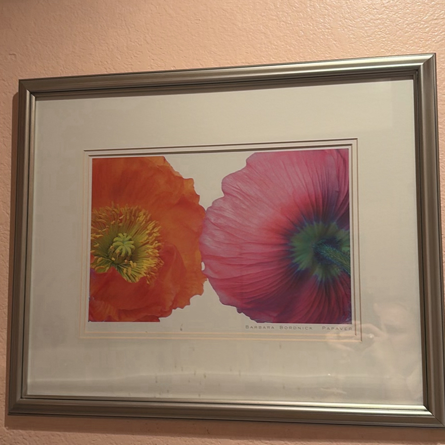 Coastal Wall Art and Decorative Figurines - image 9 of 9