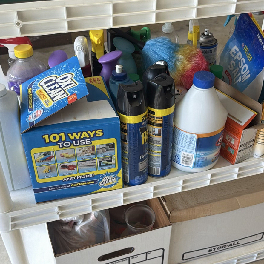 Assorted Household Cleaning Supplies and Sprays - image 1 of 5