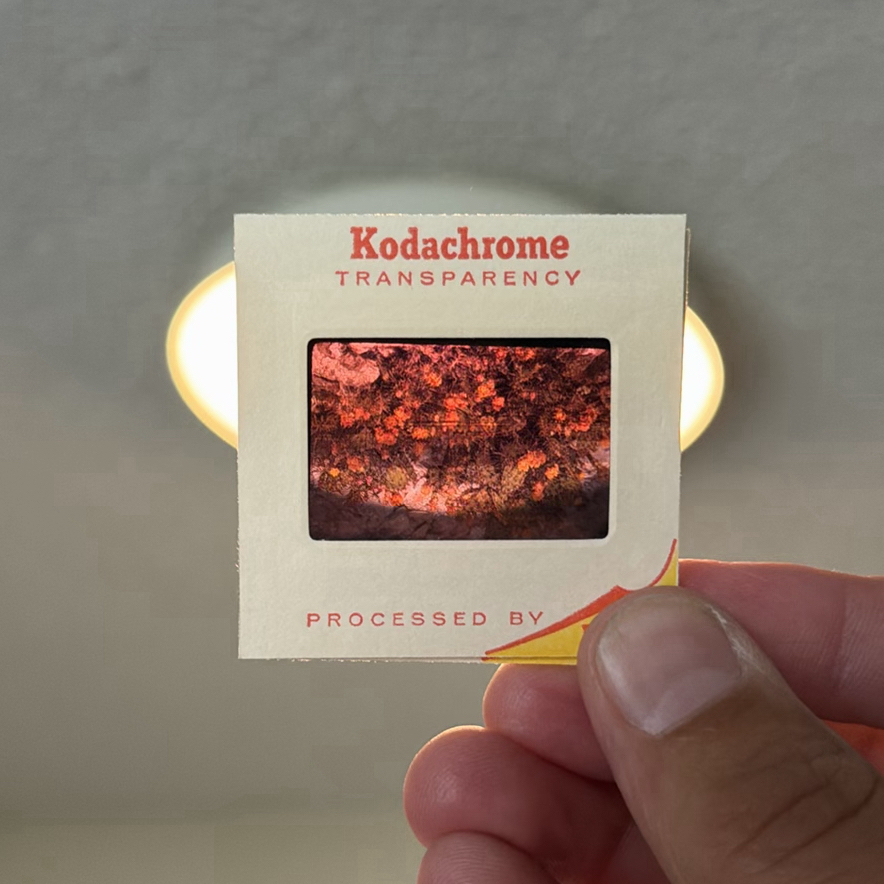 Smith-Victor Slide Storage Cases with Kodachrome Transparency Slides - image 5 of 9
