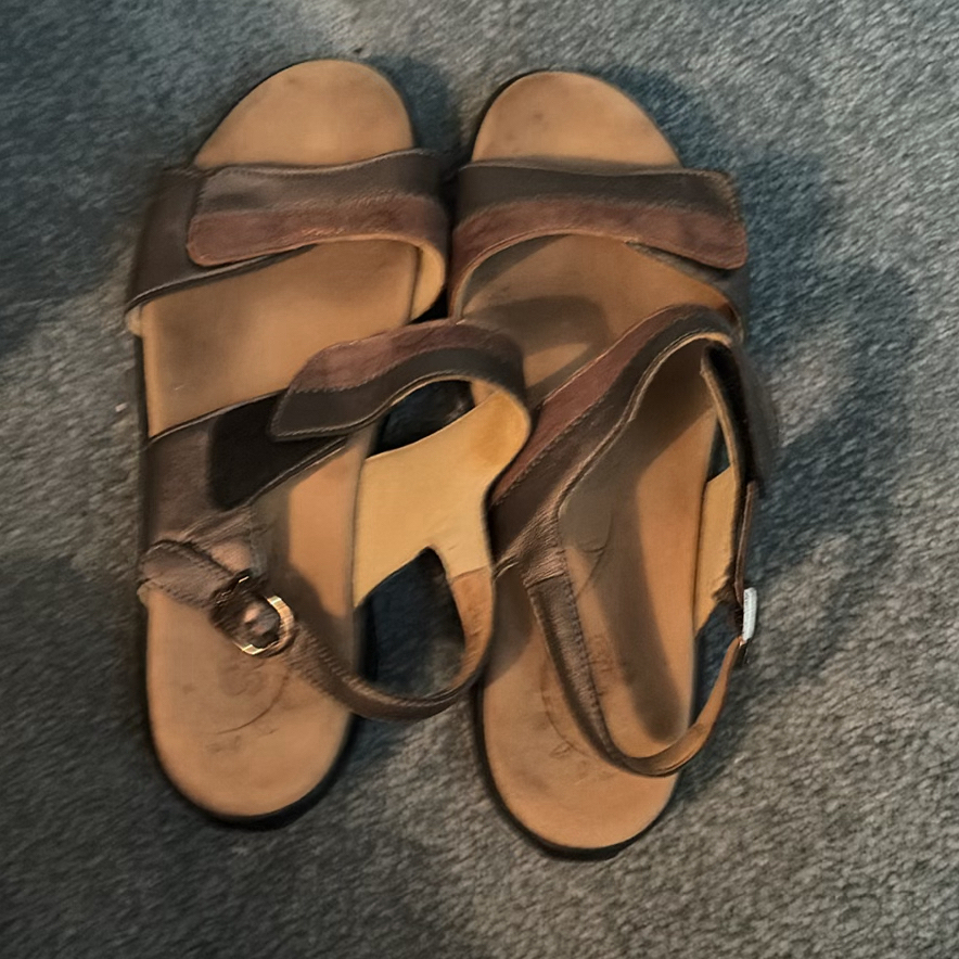 Shoe Rack, Slippers, Casual Shoes, and Wooden Shoe Stretchers - image 9 of 9