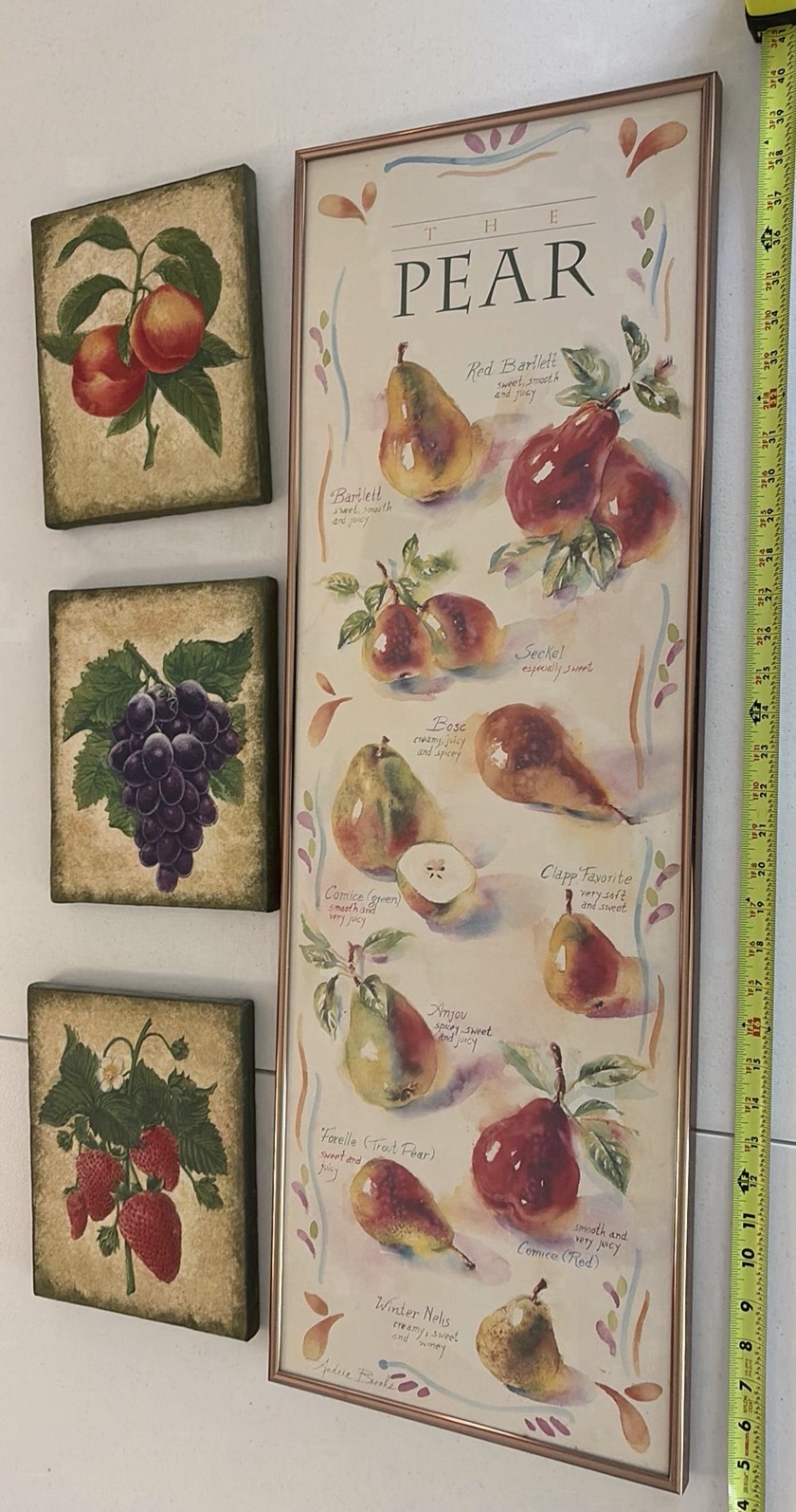 Set of Four Framed Fruit Wall Art Prints - image 1 of 3