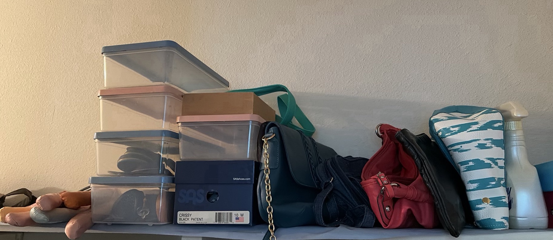 Storage Bins, Handbags, Shoe Boxes, and Clothes Steamer - image 1 of 8