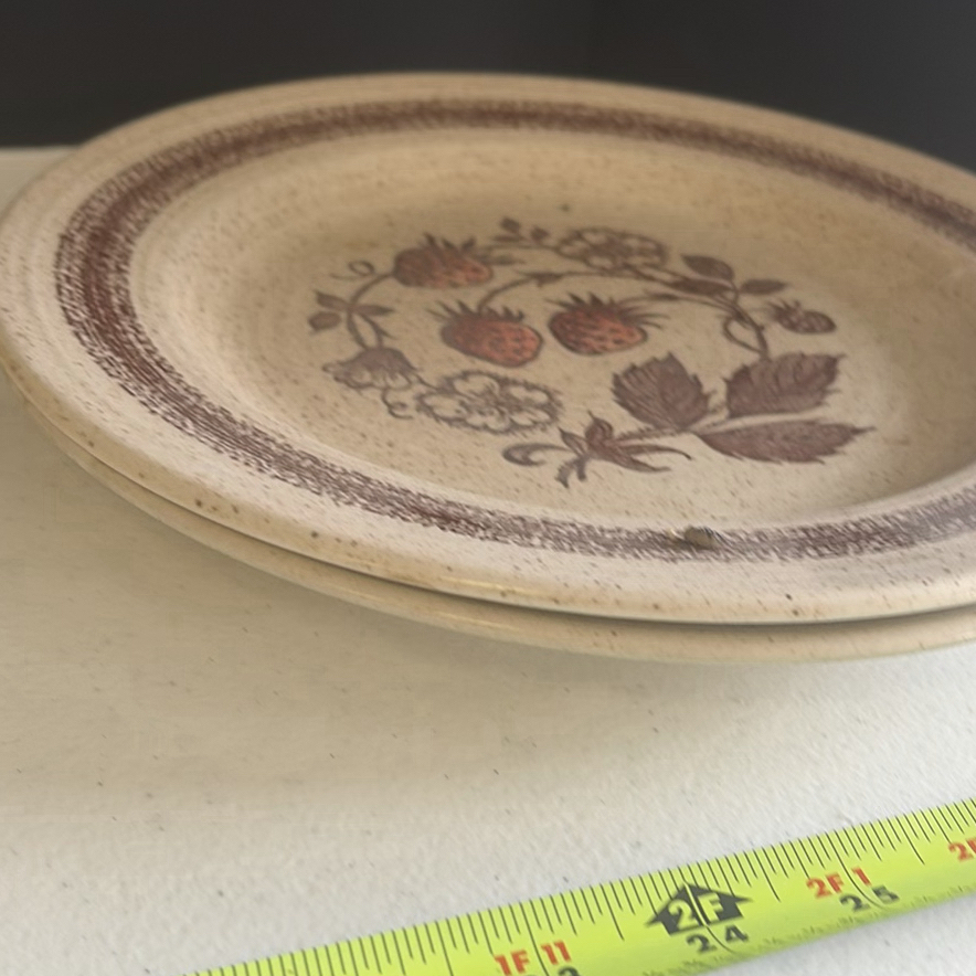 Assorted Ceramic Bakeware and Serving Plates - image 7 of 12