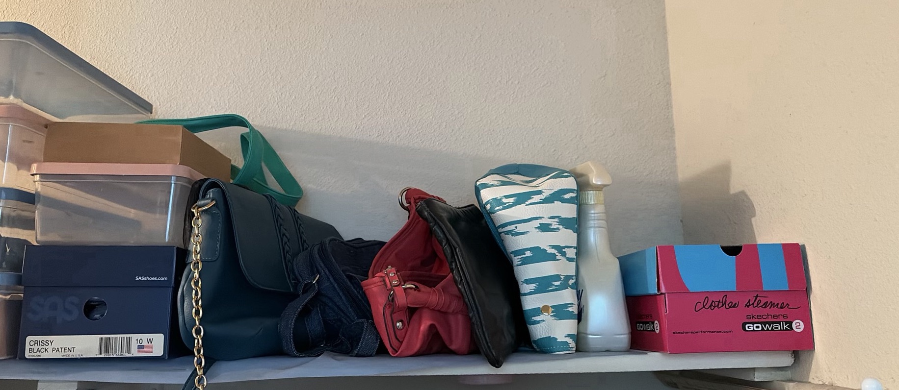 Storage Bins, Handbags, Shoe Boxes, and Clothes Steamer - image 2 of 8