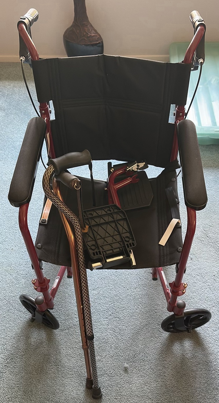 Medline Transport Wheelchair and Cane - image 1 of 5