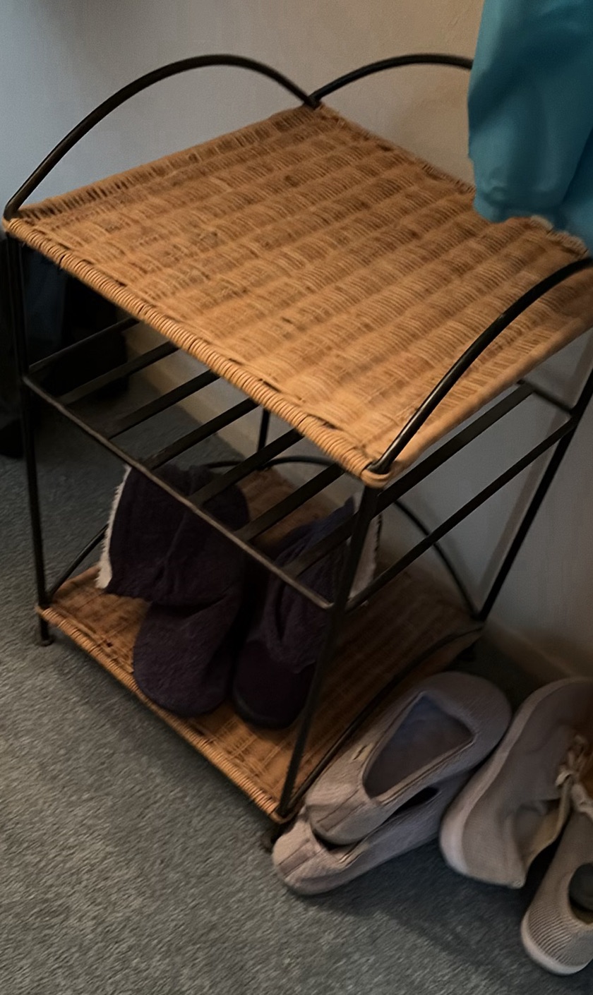 Shoe Rack, Slippers, Casual Shoes, and Wooden Shoe Stretchers - image 1 of 9