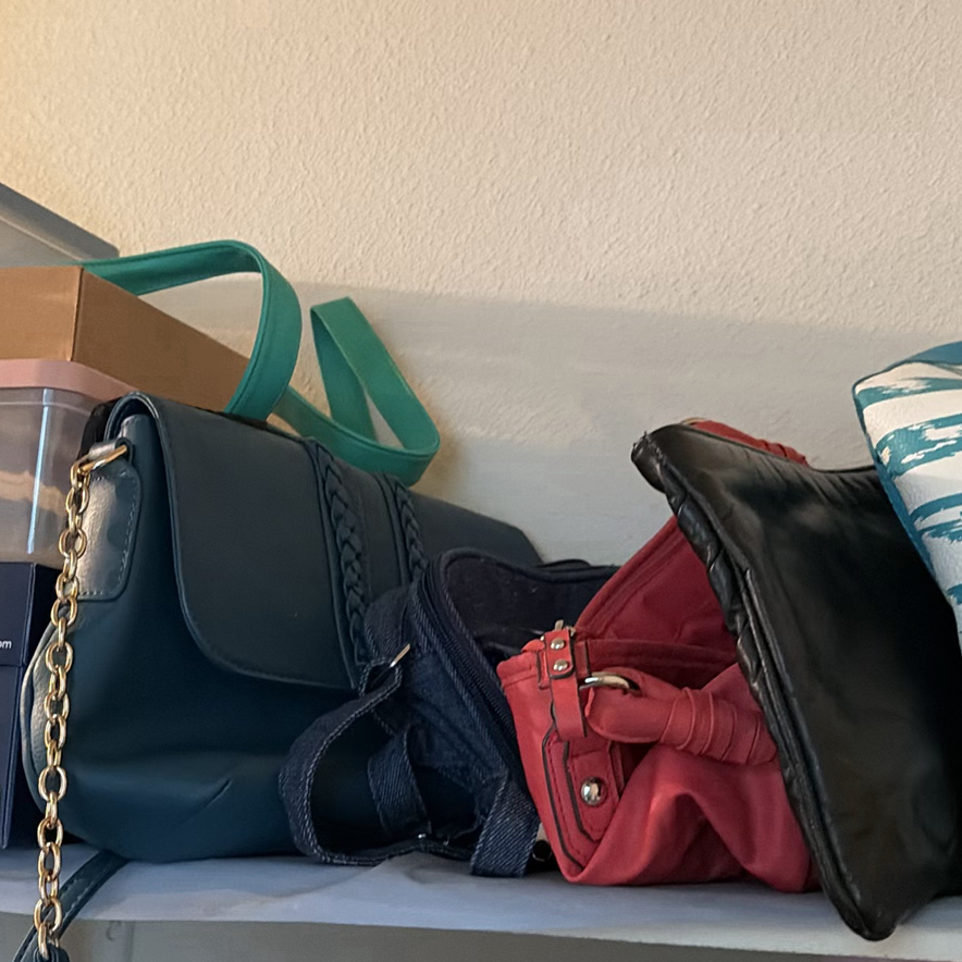Storage Bins, Handbags, Shoe Boxes, and Clothes Steamer - image 5 of 8