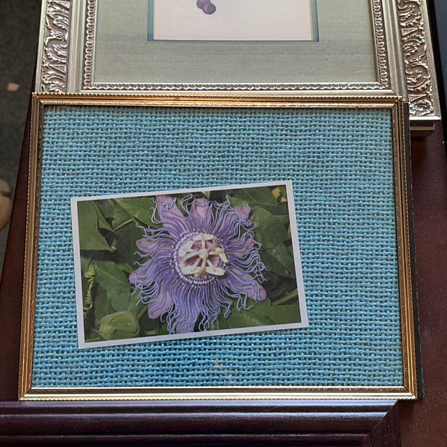 Assorted Framed Wall Art and Picture Frames - image 6 of 9