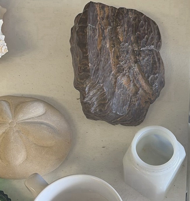 Assorted Seashells, Glass Dishes, and Ceramic Serving Pieces - image 9 of 14