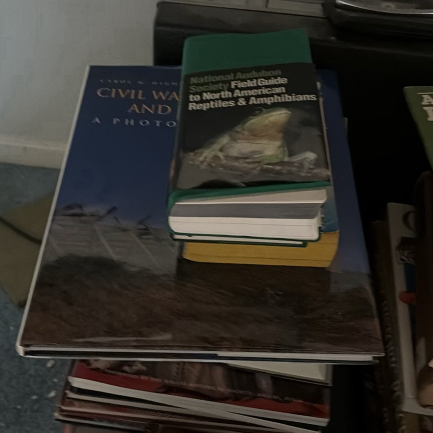 Assorted Hardcover and Paperback Books - image 5 of 10