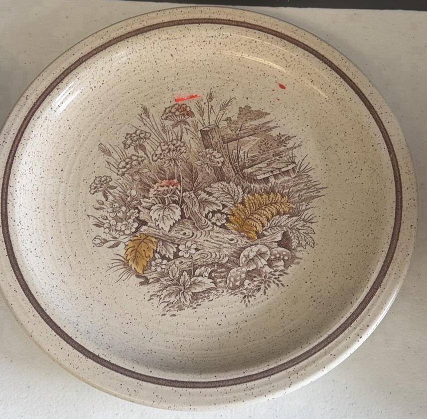 Assorted Ceramic Bakeware and Serving Plates - image 5 of 12