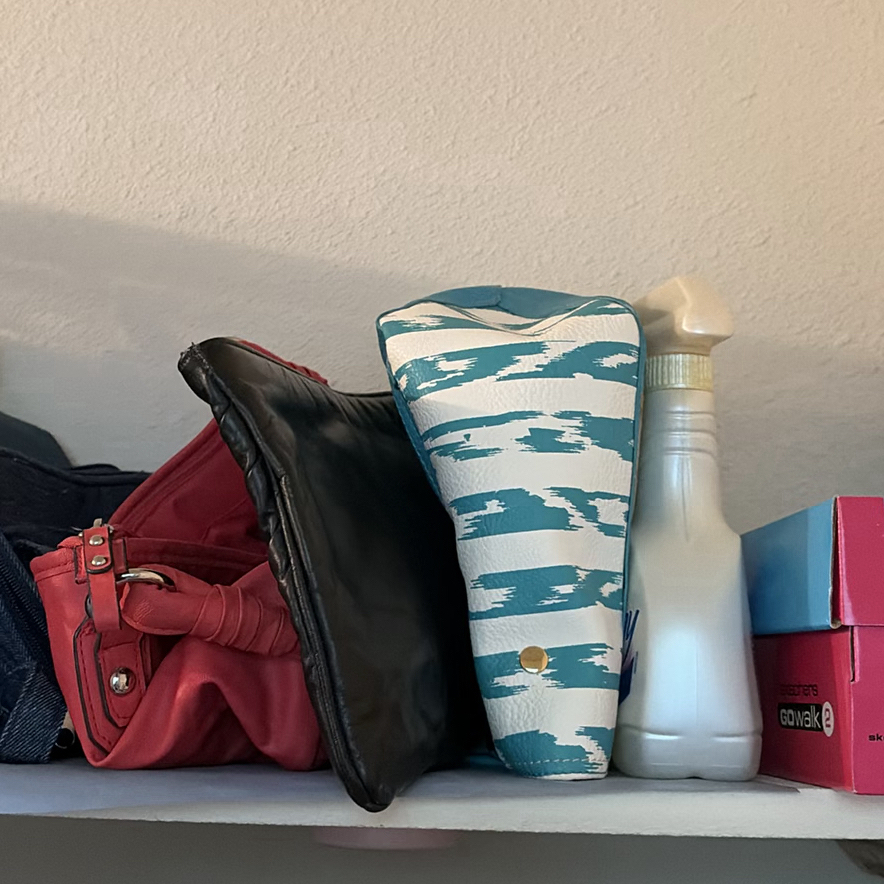 Storage Bins, Handbags, Shoe Boxes, and Clothes Steamer - image 4 of 8
