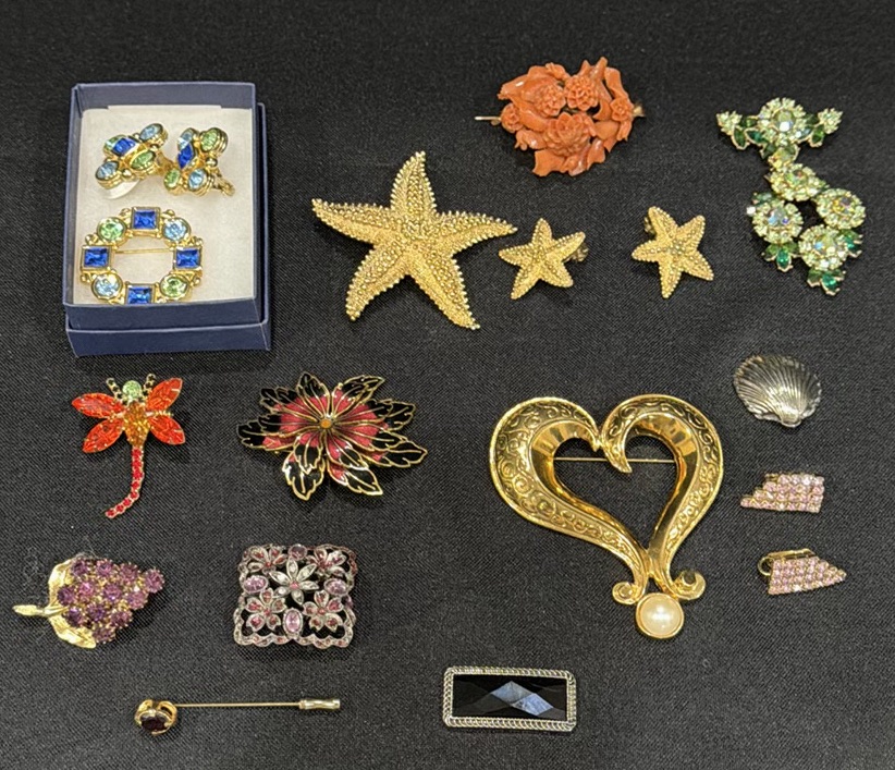 Assorted Vintage Costume Jewelry Brooches and Pins - image 1 of 3