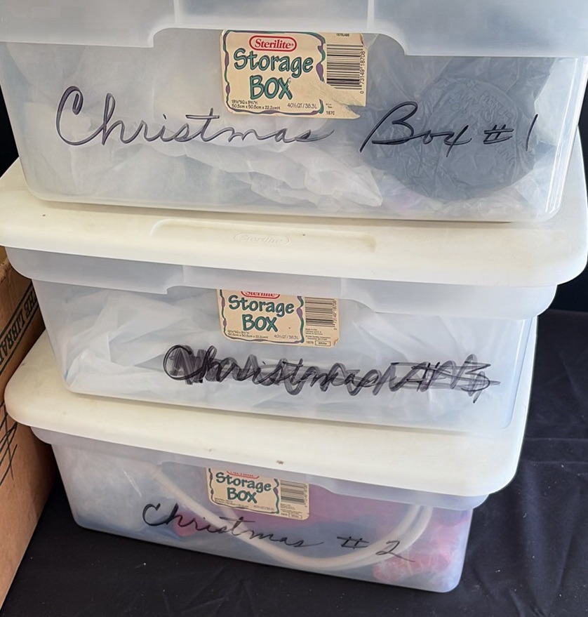 Christmas Holiday Decorations and Storage Bins - image 2 of 9