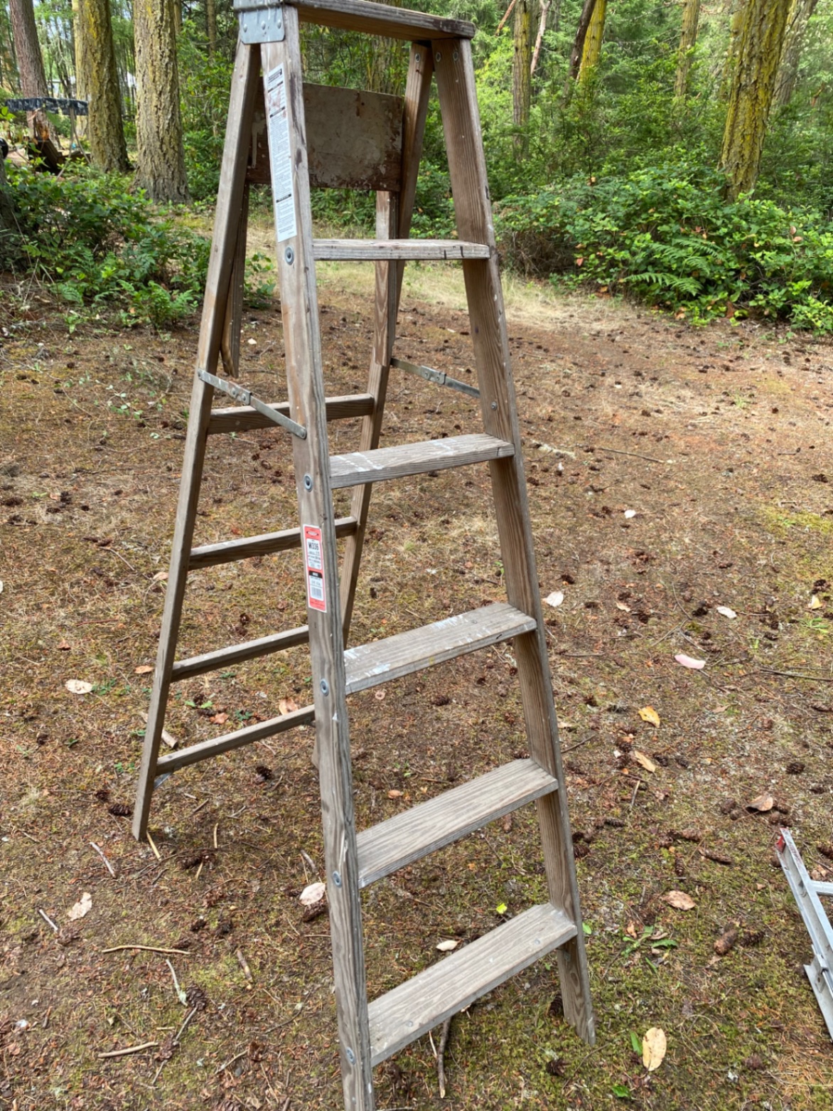 Ladders  - image 2 of 5