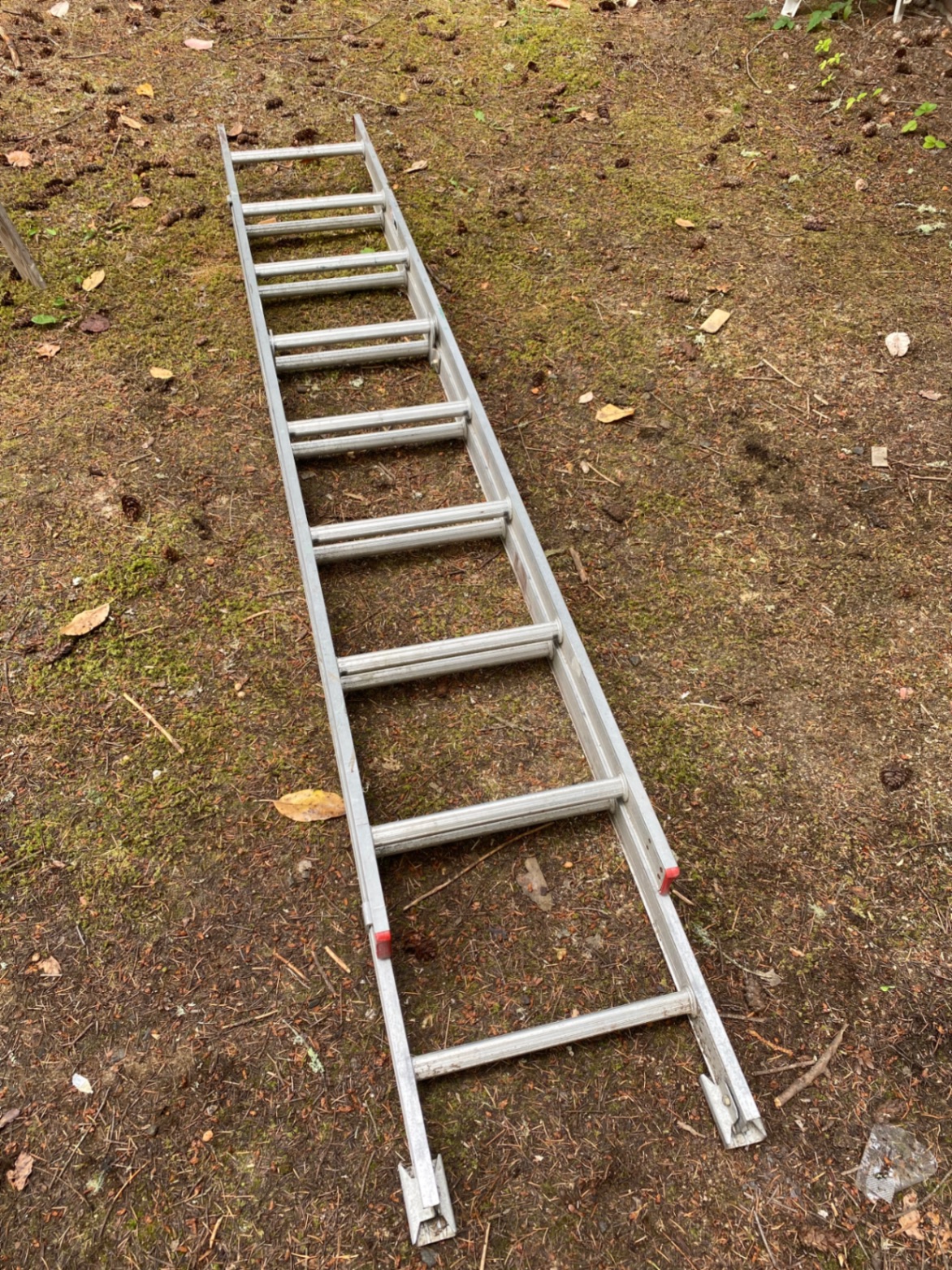 Ladders  - image 4 of 5