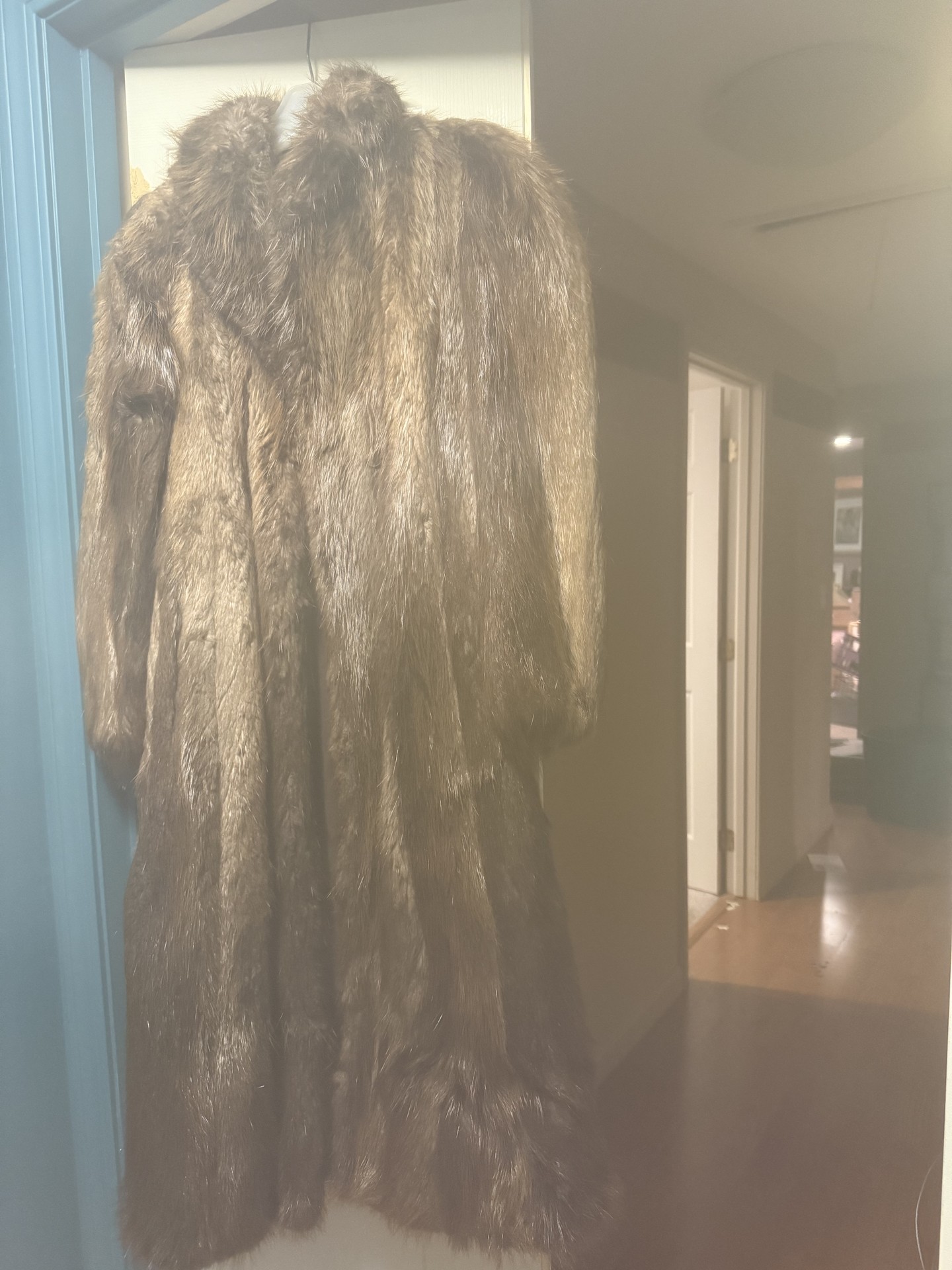 Long brown fur coat with monogrammed lining - image 1 of 7