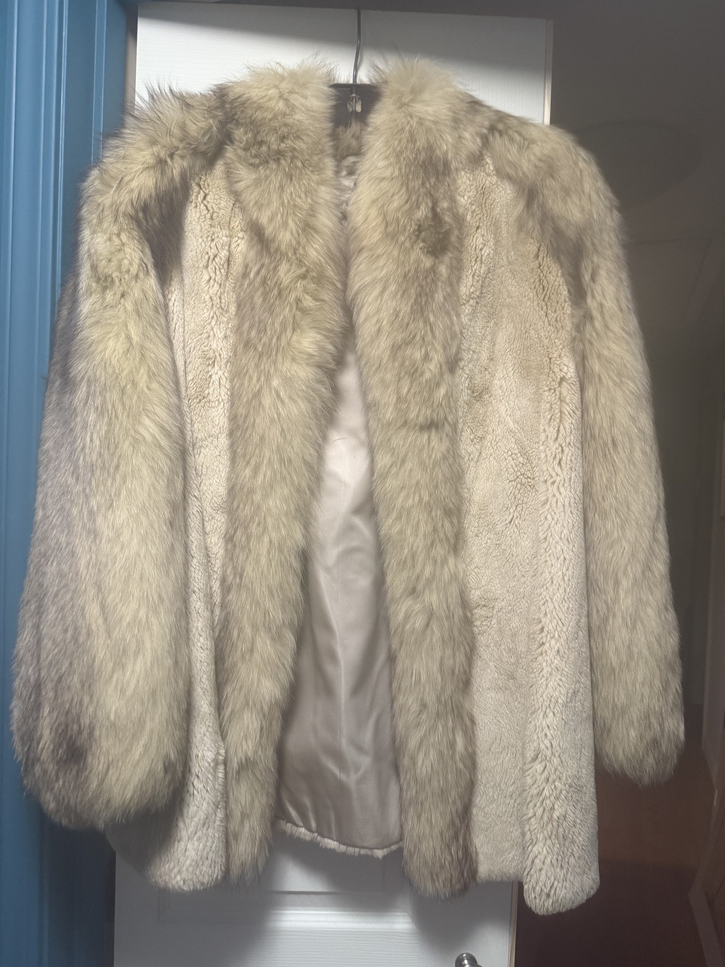 Beige Fur Coat - image 1 of 5