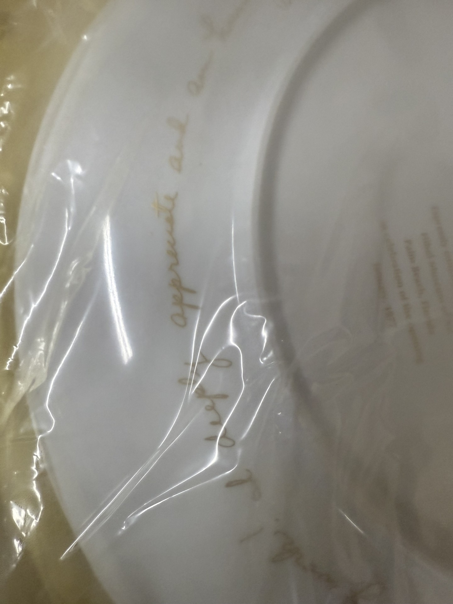 Edna Hibel Flower Girl of Provence Commemorative Plate with Coin Set - image 7 of 13