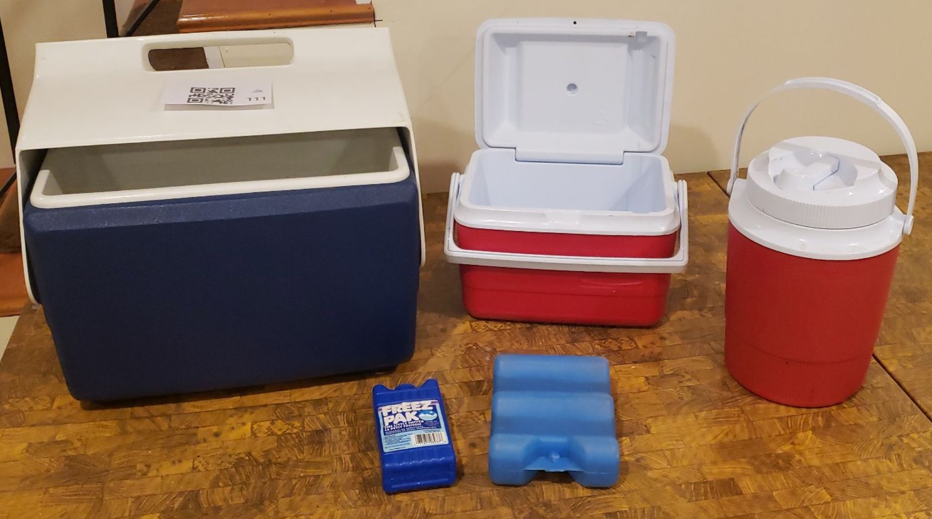 Assorted Portable Coolers and Ice Packs - image 1 of 4