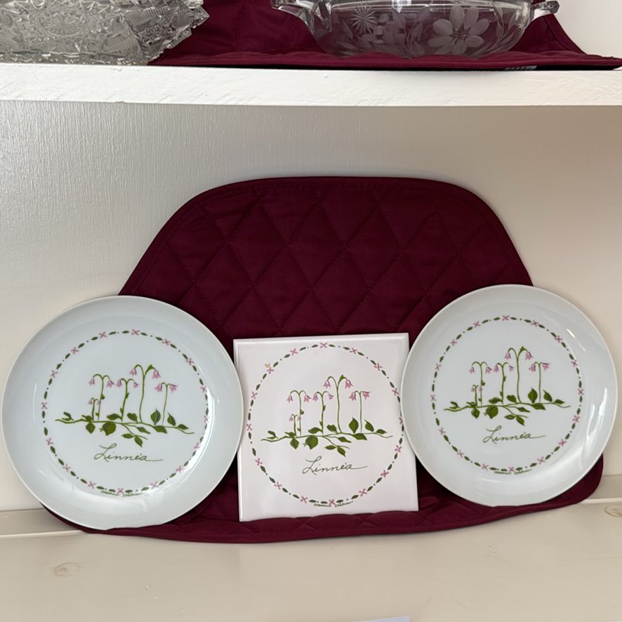 Linnea Pattern Plates and Floral Glassware - image 4 of 4