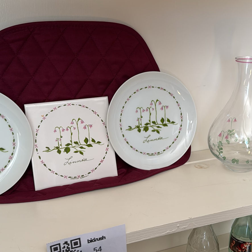 Linnea Pattern Plates and Floral Glassware - image 1 of 4