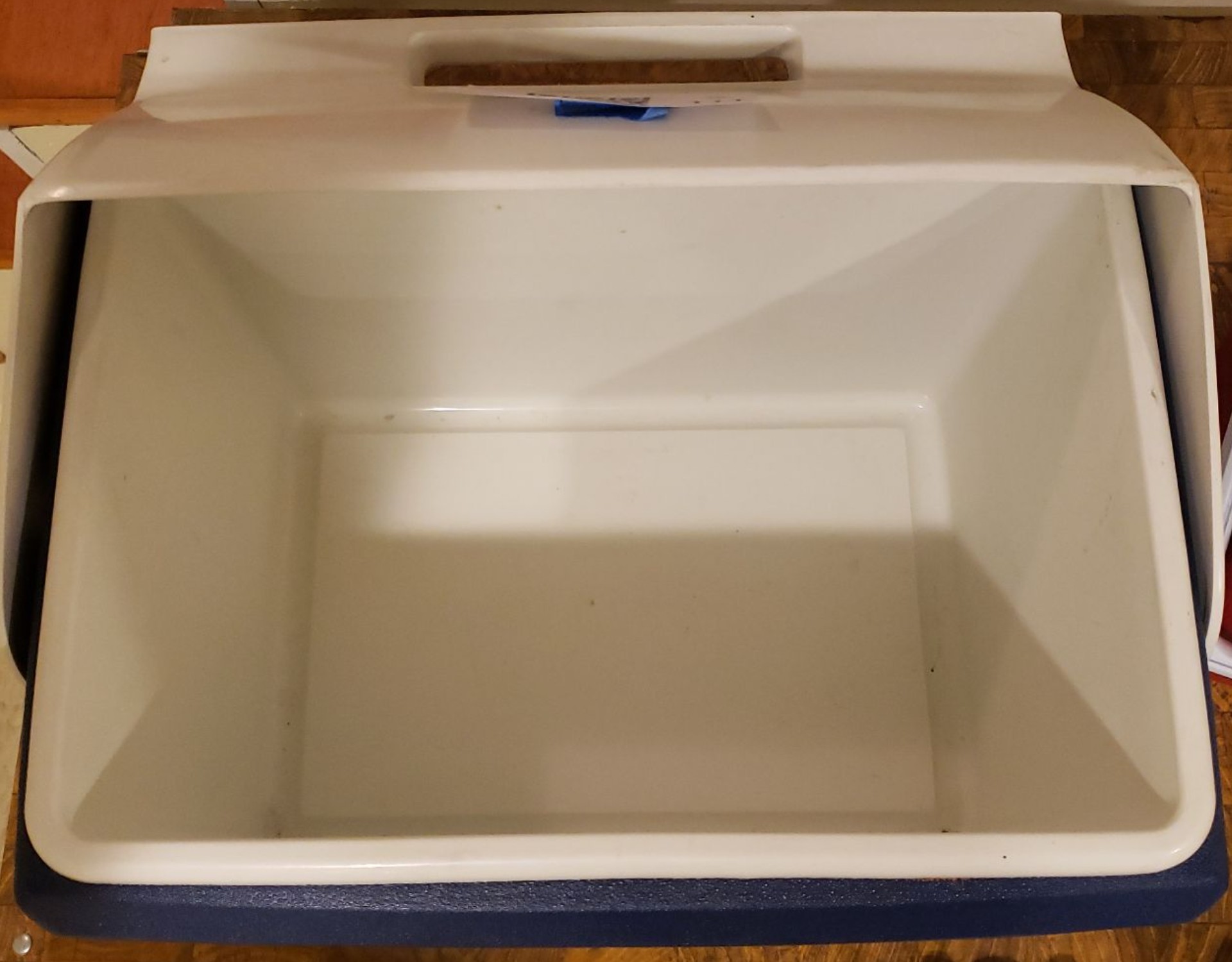 Assorted Portable Coolers and Ice Packs - image 4 of 4
