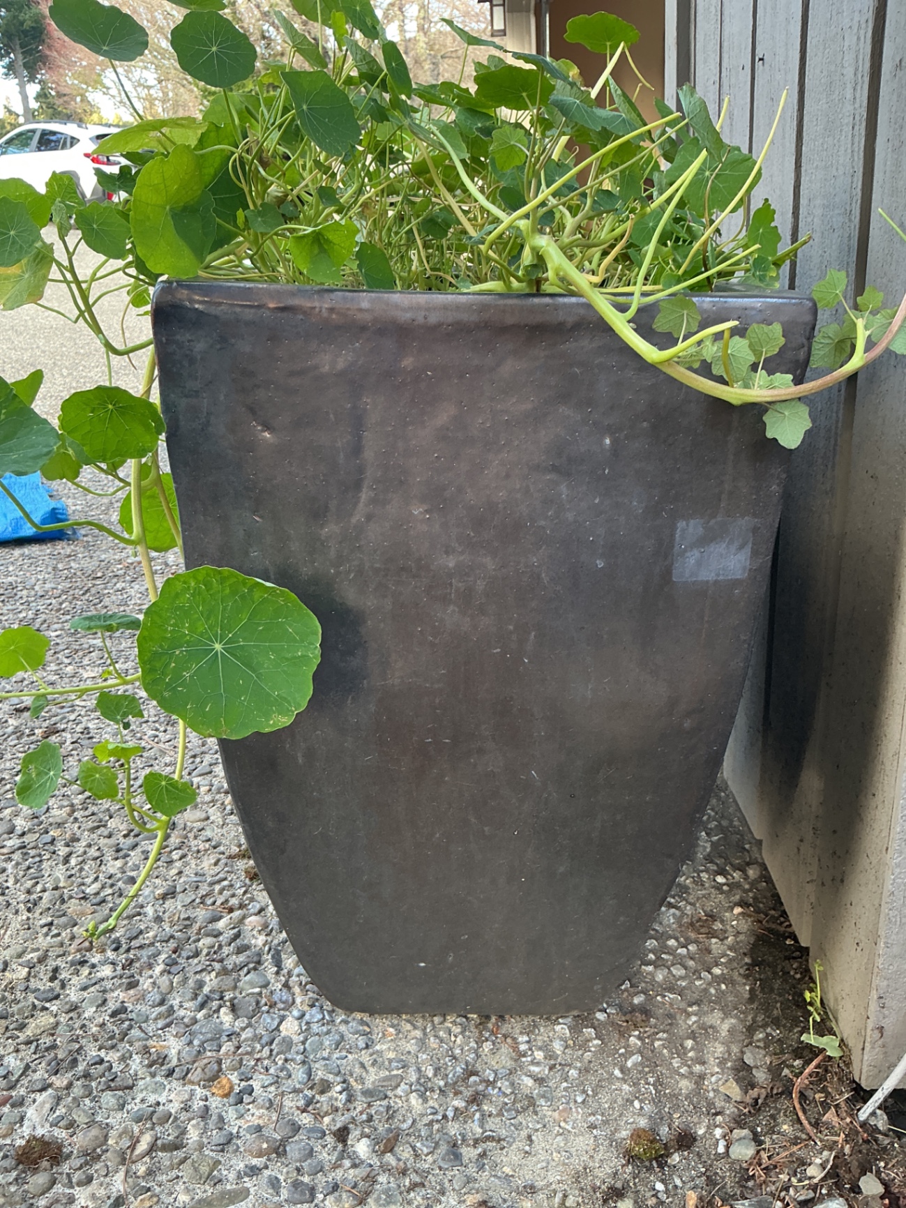 Large ceramic planters  - image 2 of 3