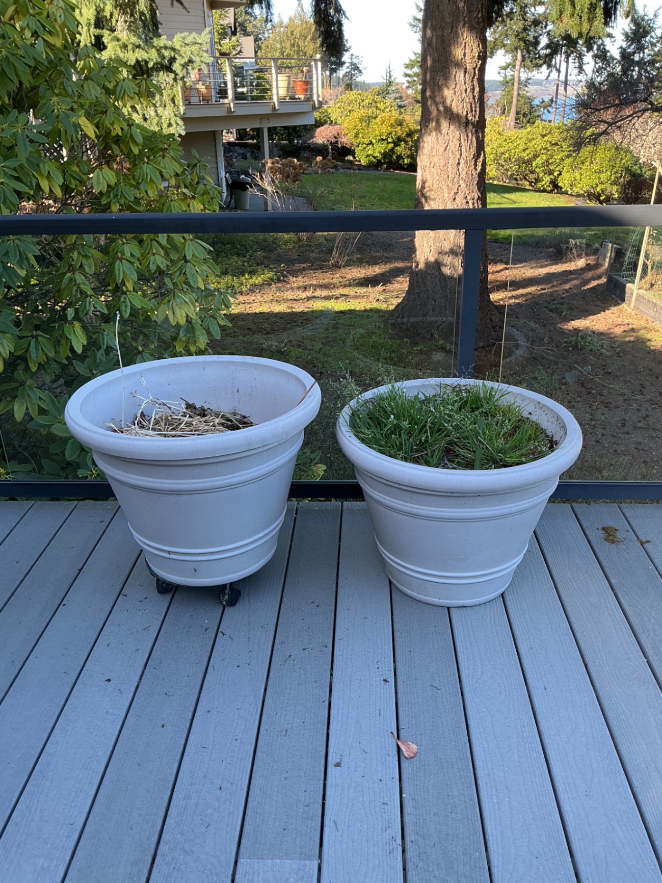 Two large plastic planters.  - image 1 of 4