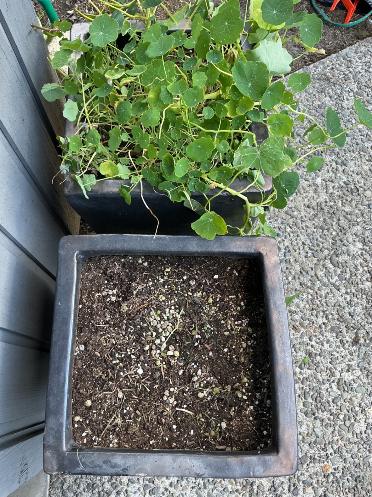Large ceramic planters  - image 3 of 3