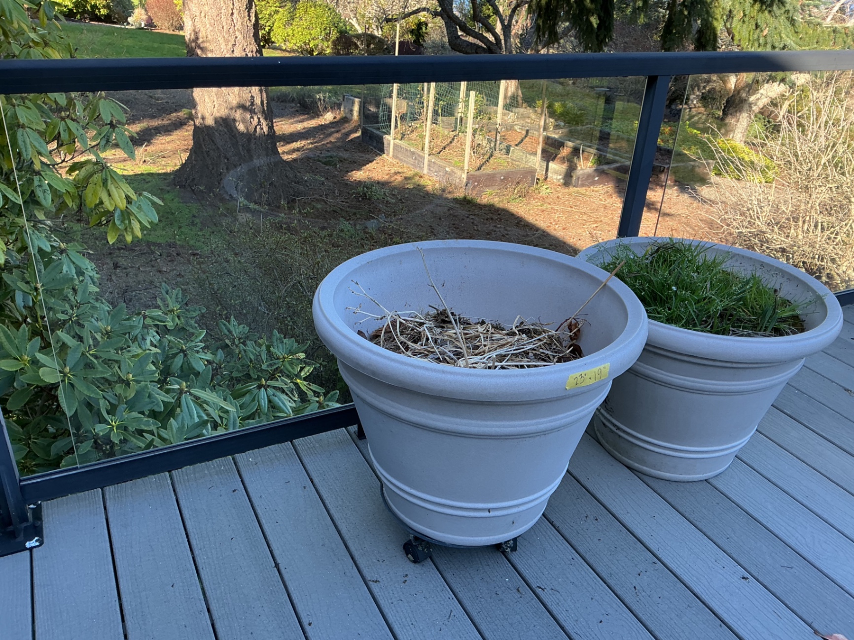 Two large plastic planters.  - image 4 of 4