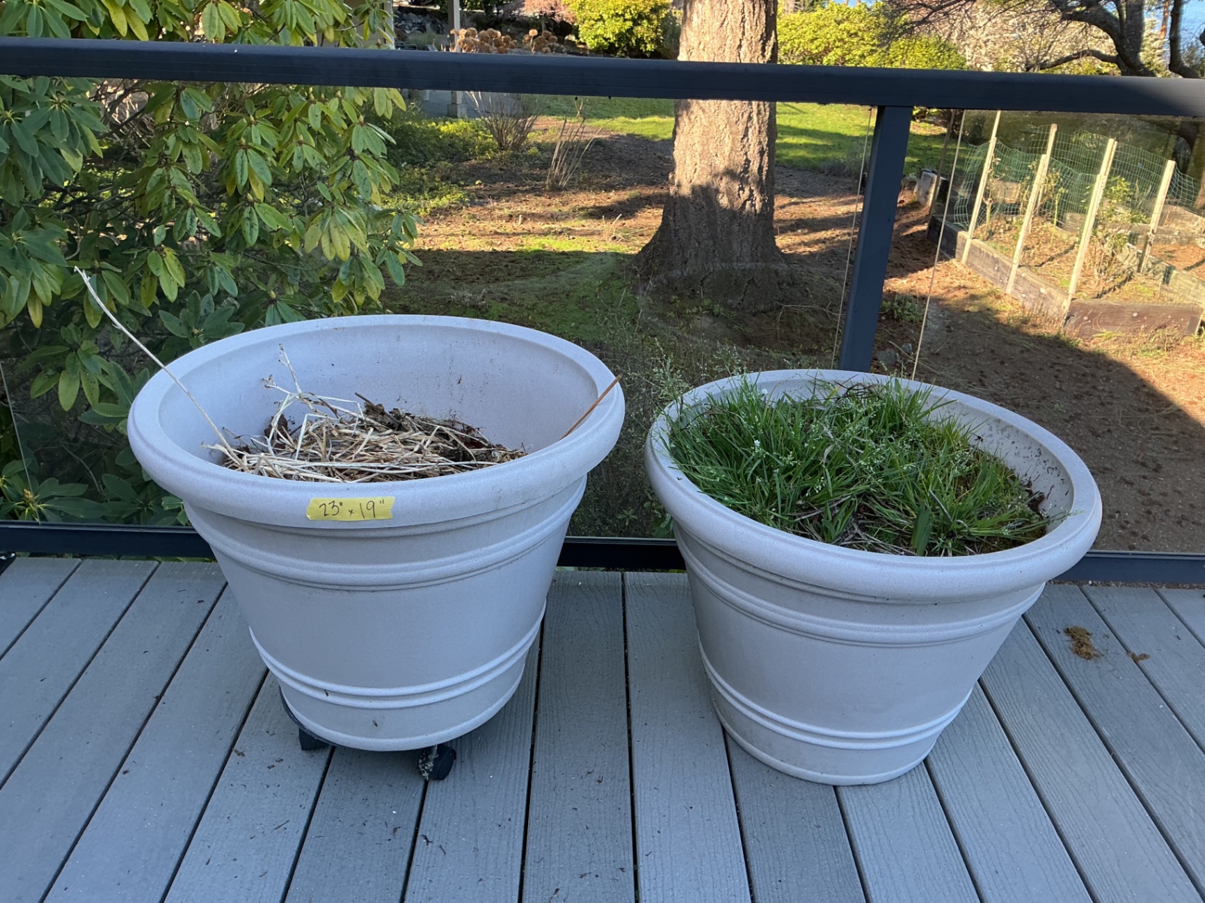 Two large plastic planters.  - image 2 of 4