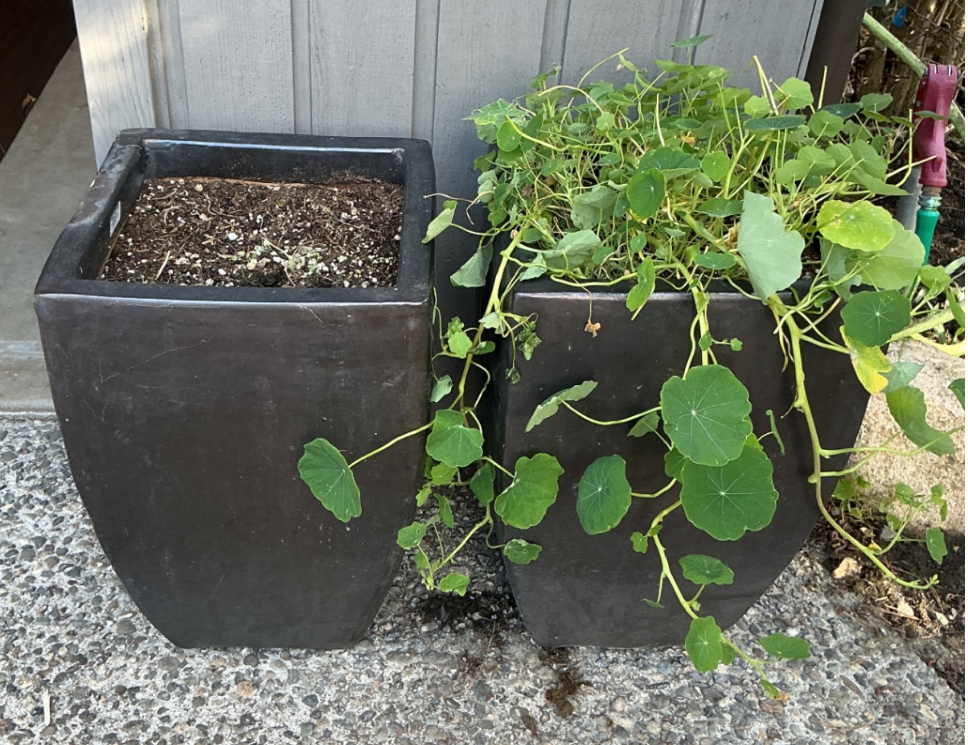 Large ceramic planters - image 1 of 3