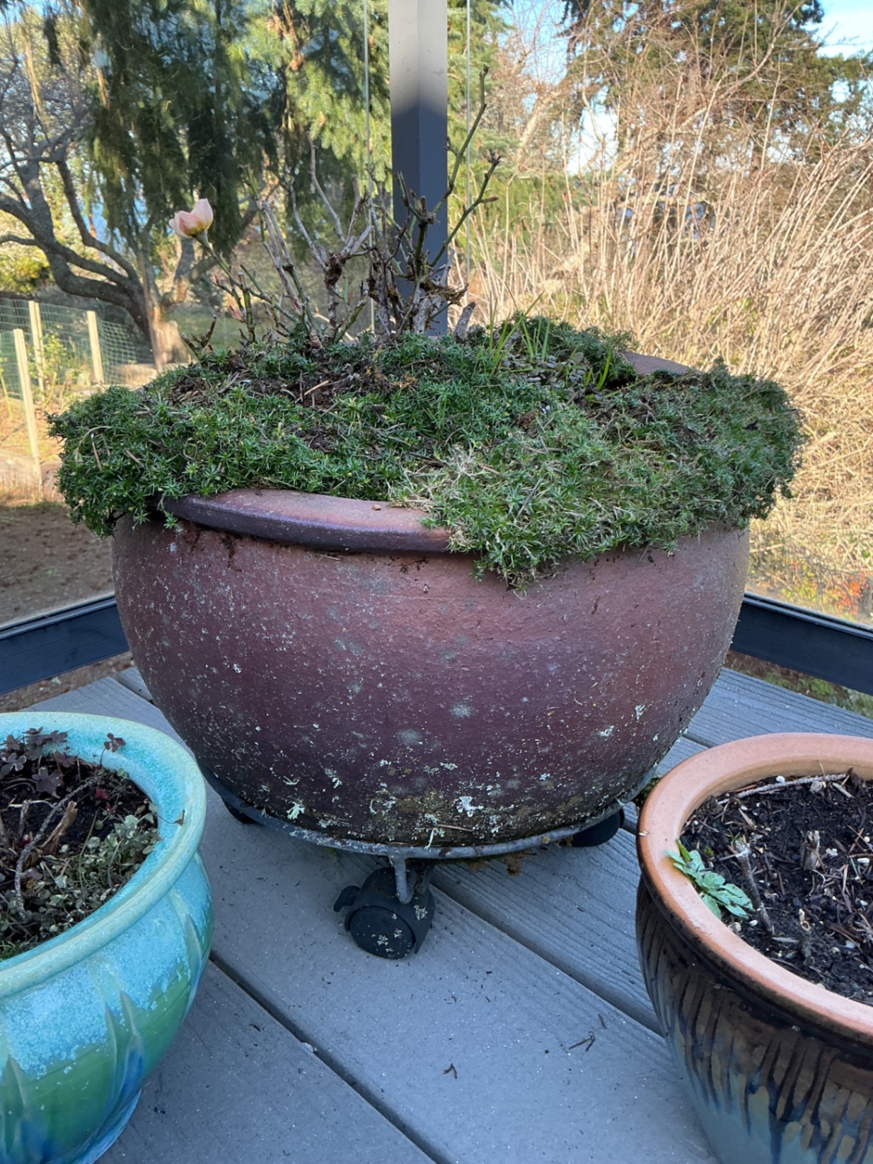 Ceramic and glazed planters.  - image 2 of 5
