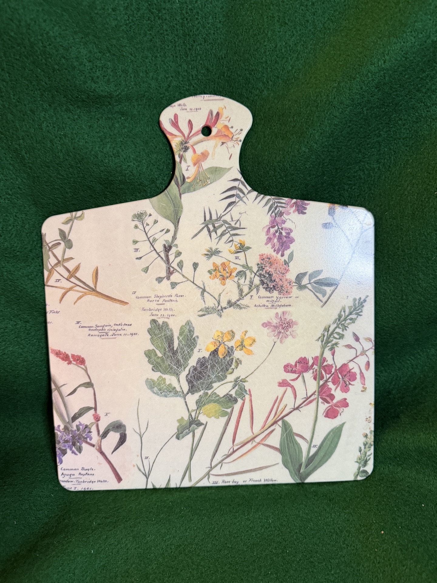botanical print serving board - image 1 of 3