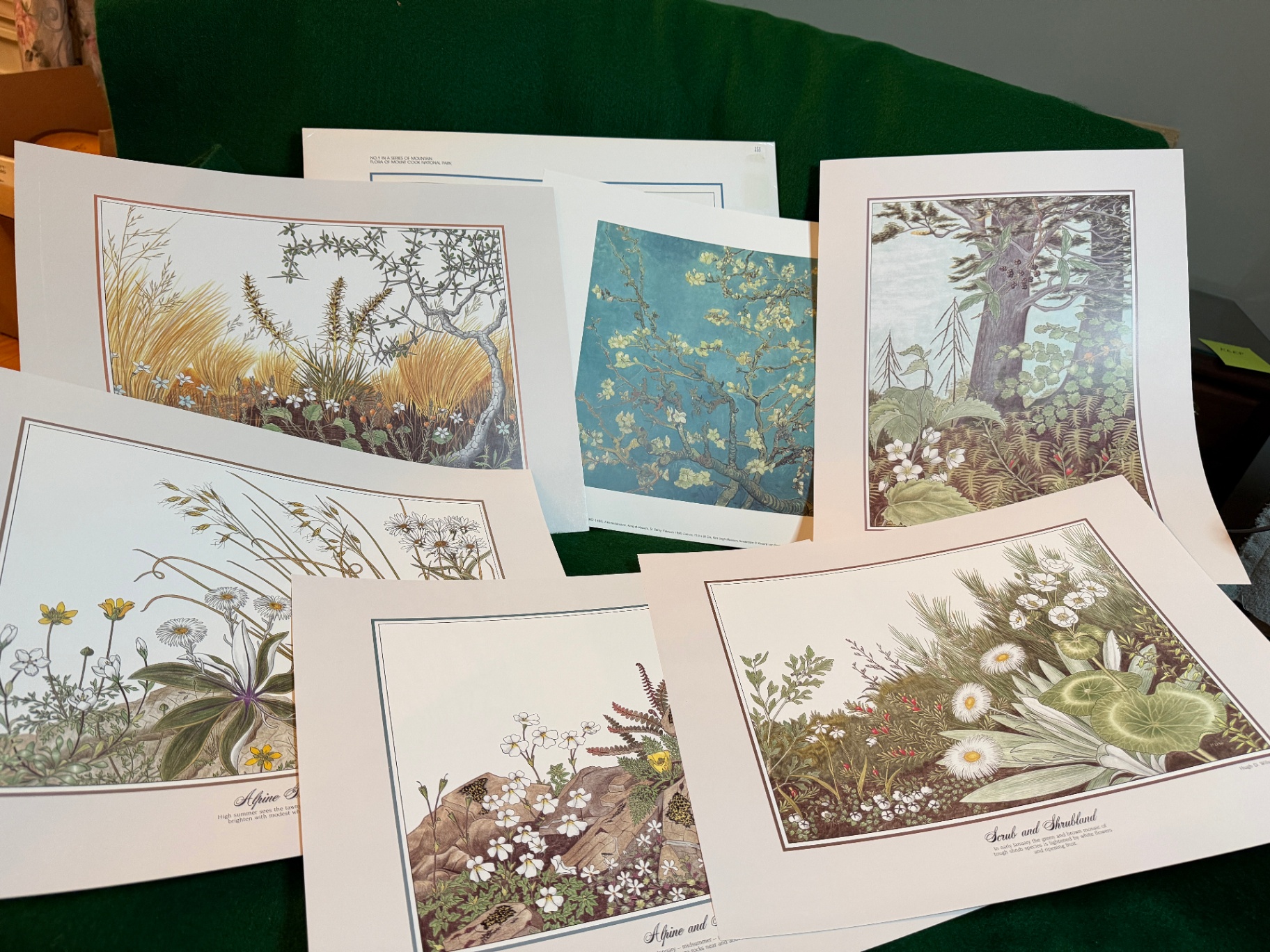 Fine art Prints - image 1 of 2