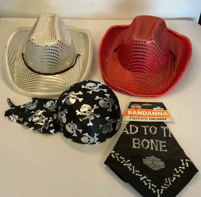 Costume Hats And More - Image 1 of 6