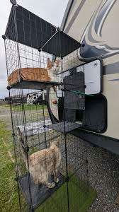 Catio needs assembly - Image 1 of 6