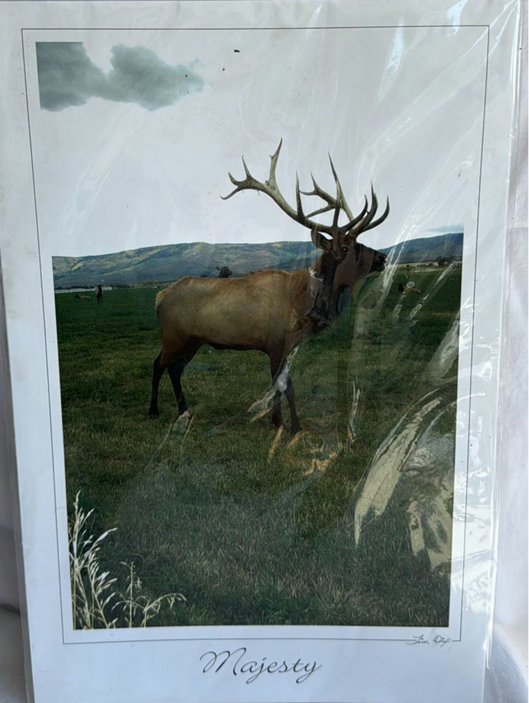 Deer and Elk Wildlife Home Decor Set - image 6 of 9