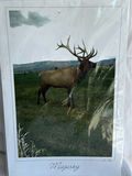 Deer and Elk Wildlife Home Decor Set - thumbnail 6 of 9