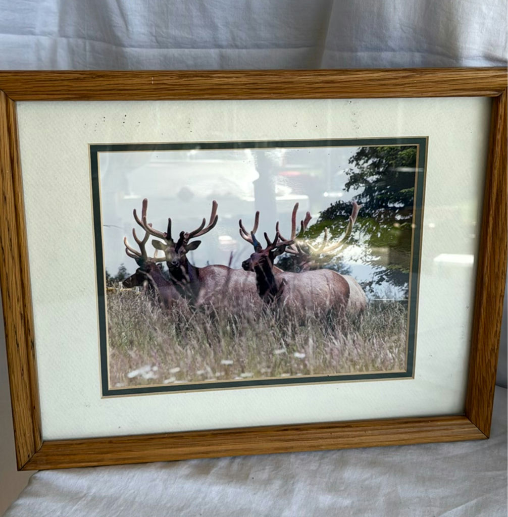 Deer and Elk Wildlife Home Decor Set - image 2 of 9