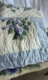 Pansies Galore - thumbnail 8 of 10