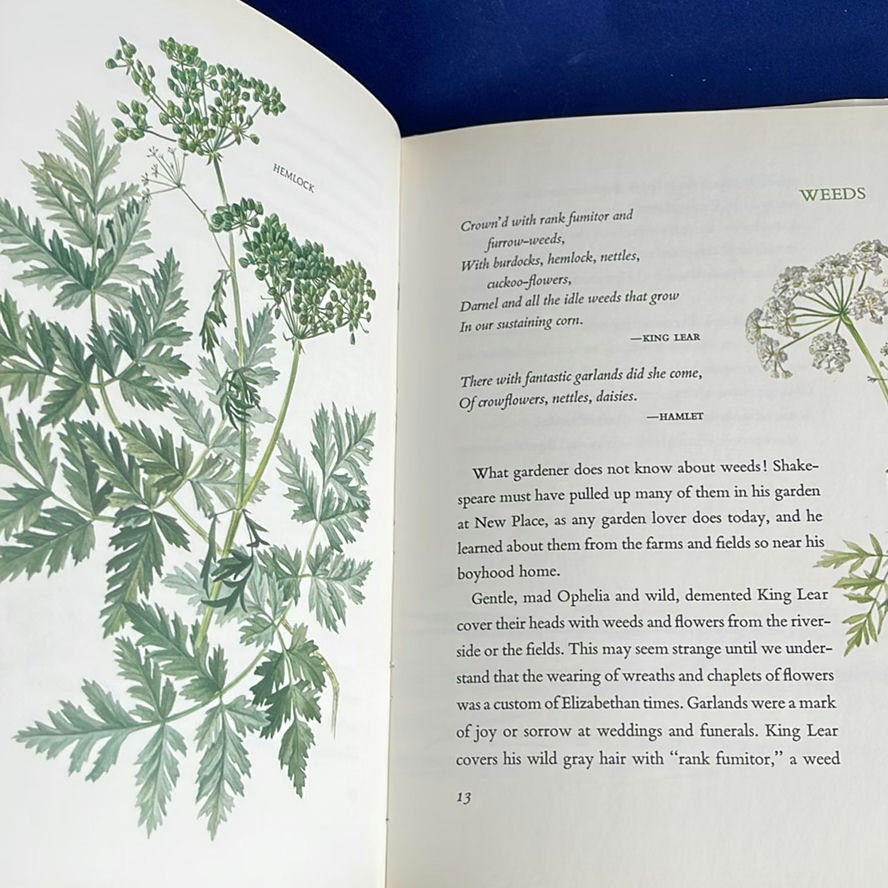 Floral Books - image 11 of 17