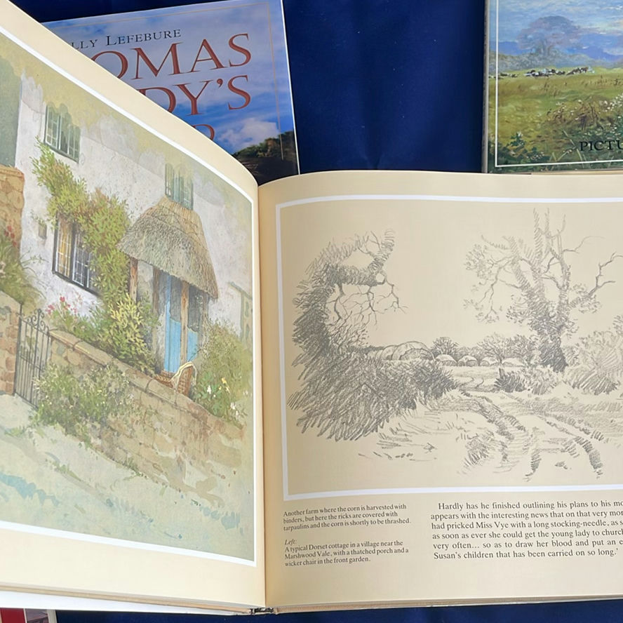 Books on Thomas Hardy and More - image 11 of 11