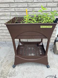 Raised Plastic Planter - thumbnail 1 of 5