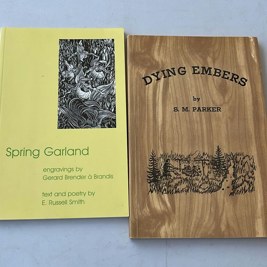 Various Poetry Books - image 11 of 18