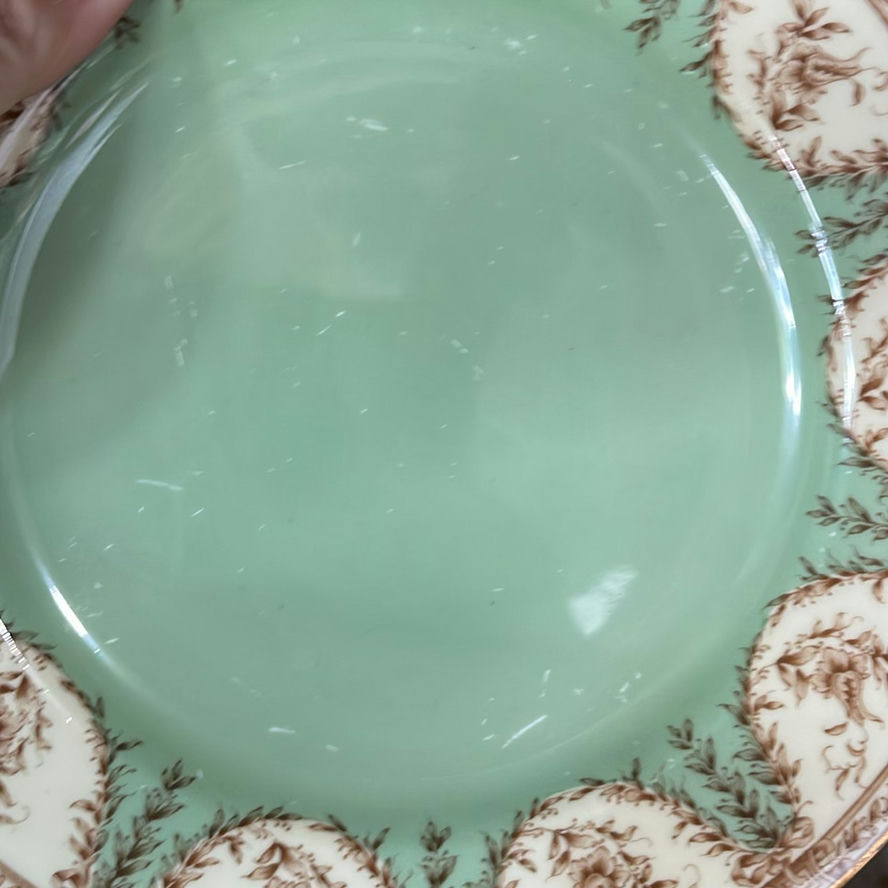 Antique Royal Worcester 1893 Dinnerware - image 17 of 19