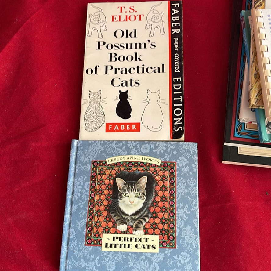 Cat Themed Lot - image 12 of 23